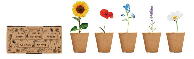 Bloemen